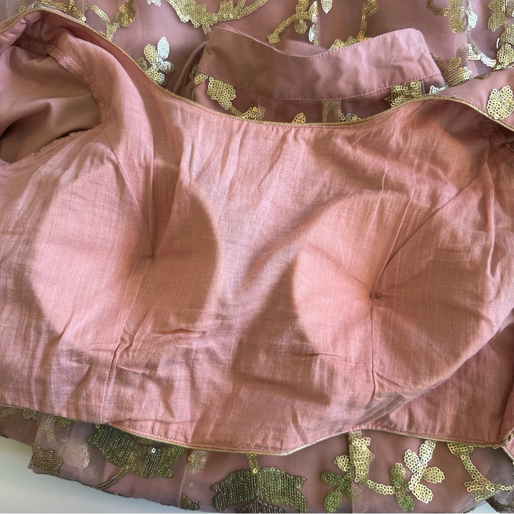Blush Embroidered Indian Wedding Two Piece Dress with Gold Accents - Picture 16 of 16
